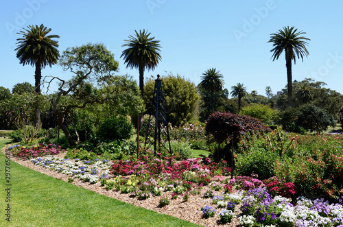 Photography A view of Centennial Park in Sydney on a spring day.