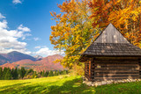 Autumn landscape with orange colored tree and wooden cottages in the Podsip settlement in north of Slovakia, Europe.