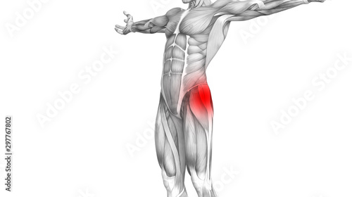 Conceptual hip human anatomy with red hot spot inflammation articular joint pain for leg health care therapy or sport muscle concepts. 3D illustration man arthritis or bone sore osteoporosis disease © high_resolution