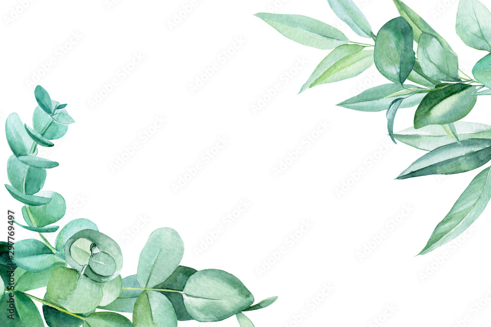 greeting card with place for text, eucalyptus leaves on a white background, watercolor illustration