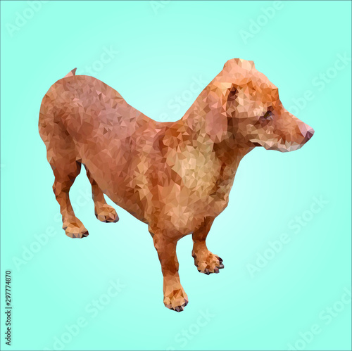  Brown dog Dachshund breed on a blue background.