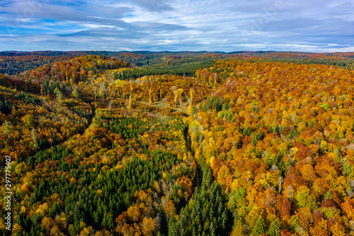 Herbst Wald