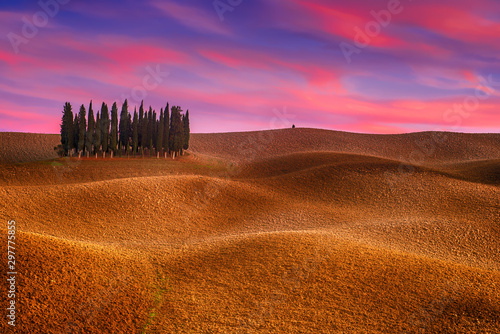 Tuscany landscape with cypress