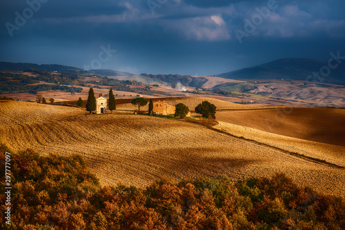 Wavy fields in Tuscany