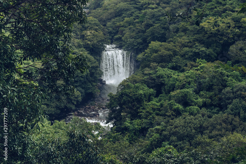 view from above on beautiful waterfall and forest