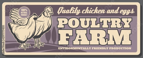 Poultry farm, chicken and eggs products
