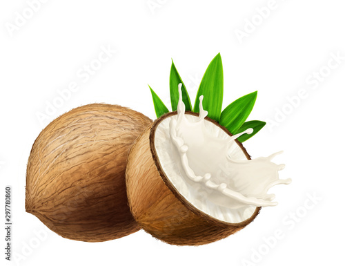 juicy fresh Coconuts with white background