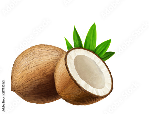 Juicy fresh Coconuts with white background
