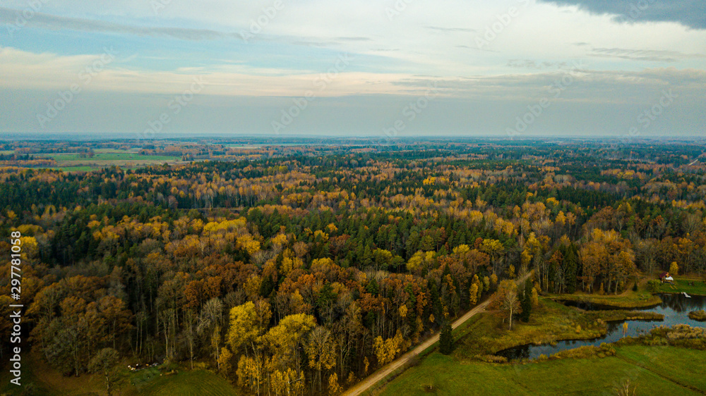 autumn view in Latvia forest