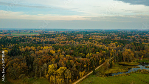 autumn view in Latvia forest