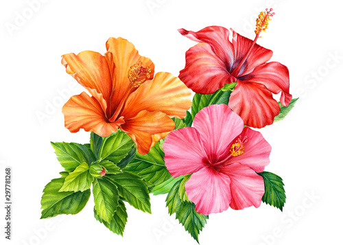 bouquet of beautiful hibiscus flowers on a white background  watercolor illustration  greeting card