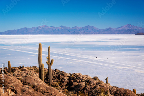 Cactuses in Incahuasi island, SUV cars in Salar de Uyuni salt flat in the background, Potosi, Bolivia photo