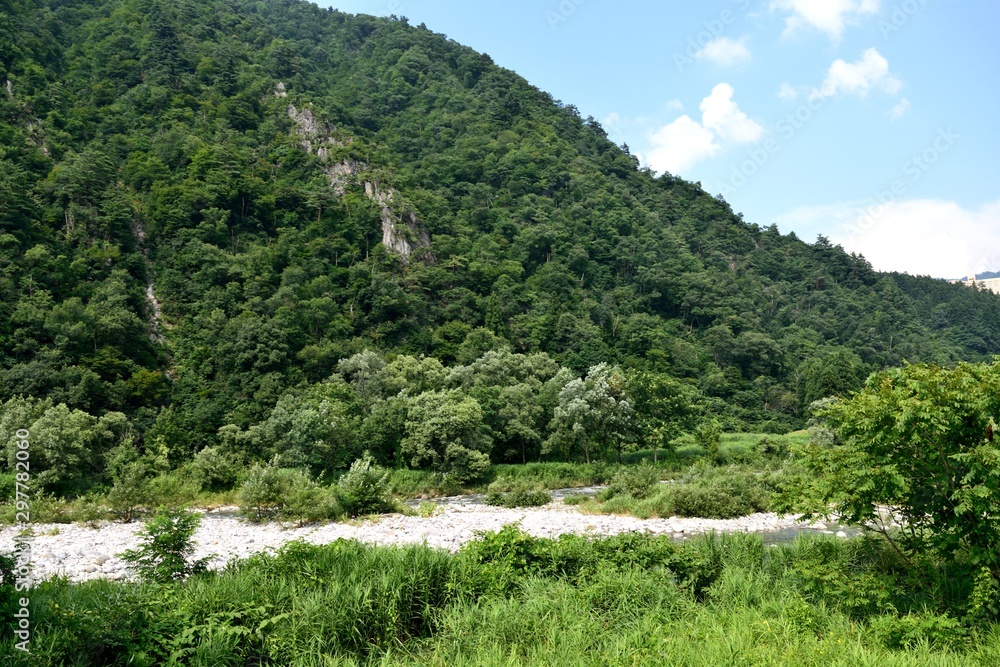 Naklejka premium 新潟県魚野川河川敷