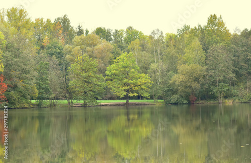 Autumn landscape. Soft bed tones of nature. Beautiful, golden autumn landscape with trees and golden leaves of dark water.
