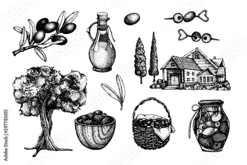 Big set with olives. Hand drawn vector illustration with olive tree, oil, branch, basket, finished product in the bank, home. Design of cosmetic and culinary products.