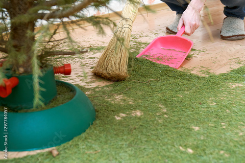 Woman sweeping the floor from dry fallen Christmas tree needles after New Year holidays manually using a broom and a scoop