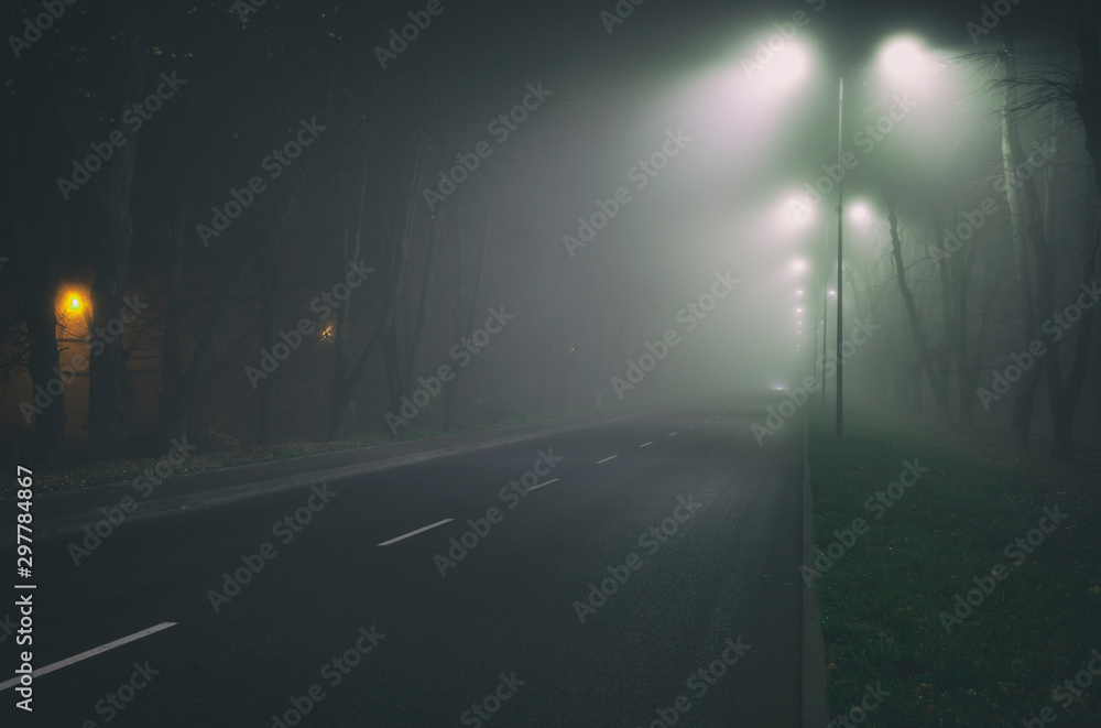 The thick fog above the asphalt road in the night in the city