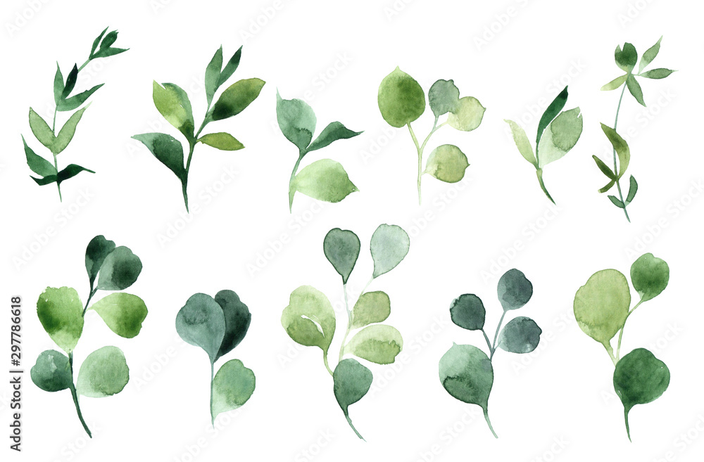 Hand drawn watercolor illustration of abstract green branch. Elements for design of invitations, movie posters, fabrics and other objects, isolated on white background