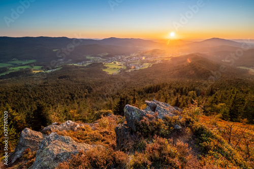 scenic view in bavarian forest