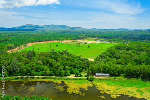 Aerial view of natural reservoir with green plants in Chumphon province, Thailand. Aerial landscape of green palm tree in Chumpahon province.