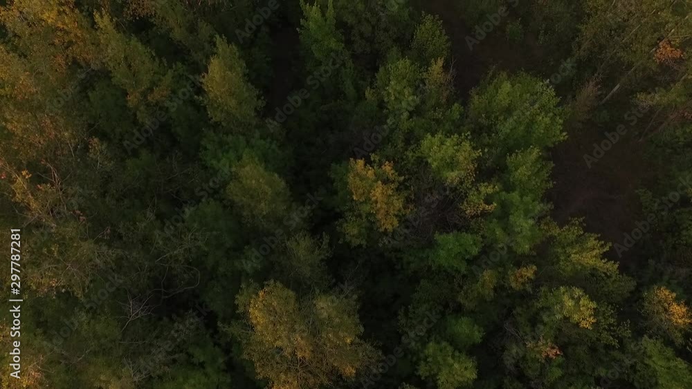 Aerial drone shot flying over the autumn forest valley, aerial view Aerial drone shot flying over the autumn forest valley, aerial view