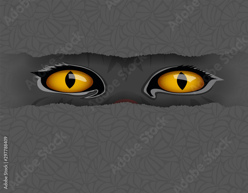 I see you