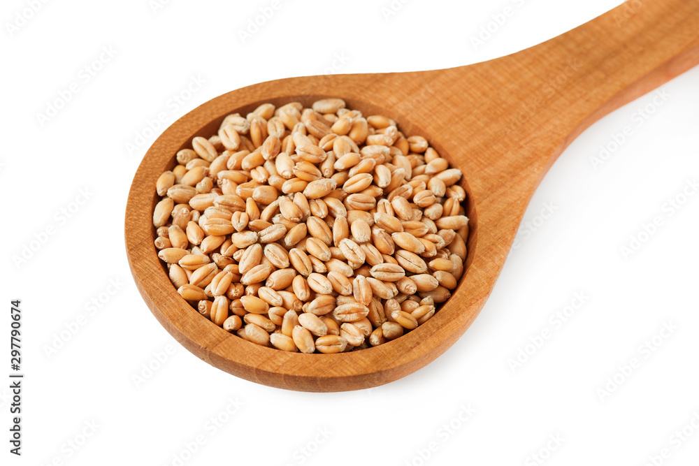 Raw wheat grain in woodenspoon isolated on white background Raw wheat grain in woodenspoon isolated on white background