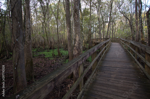 Boardwalk at Manatee Springs State Park, Chiefland, Florida