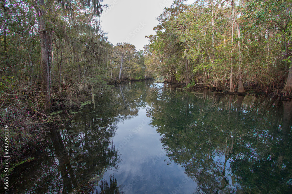 Manatee Springs State Park, Chiefland, Florida