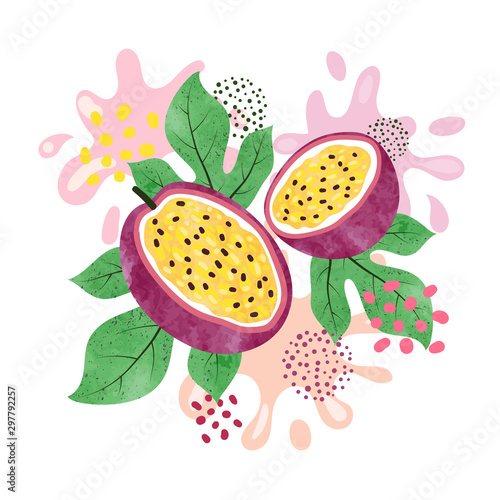 Passion fruit vector illustration. Abstract watercolor juicy fruit splash