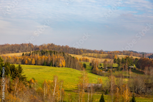 Autumn colours in forest in Latvia, Latgale