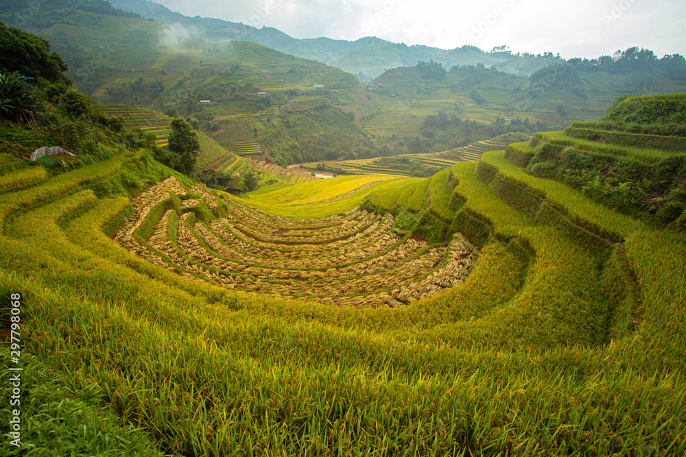 Rice fields on terraced of Mu Cang Chai, YenBai, Vietnam.