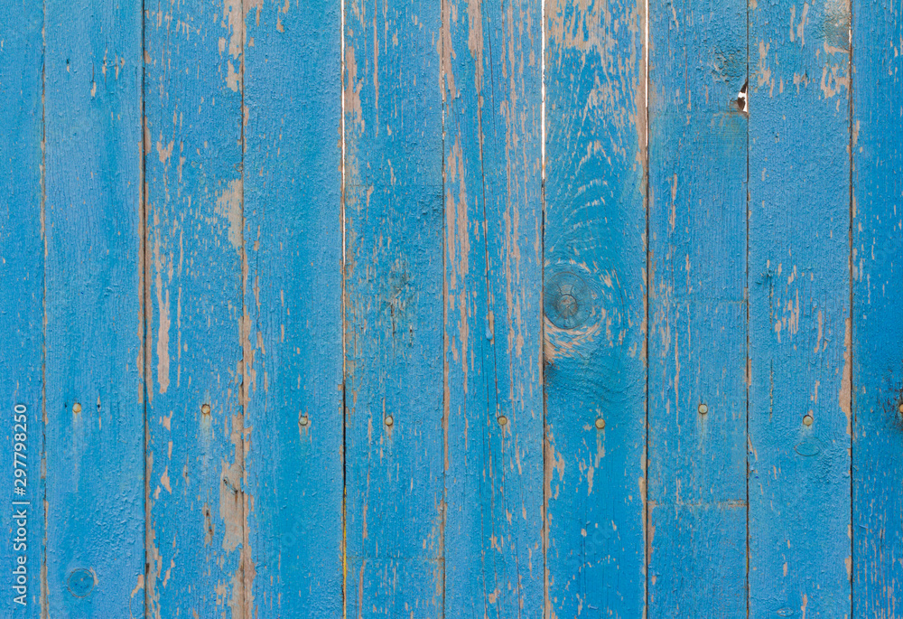 old wooden fence with fallen off blue paint, cracks and rusty nails old wooden fence with fallen off blue paint, cracks and rusty nails