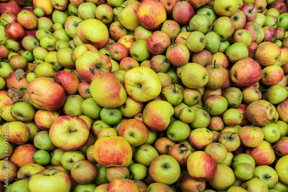 Schwaebisch Hall, Wackershofen, Germany - 15 October 2019: View on the apples, apple, for the fruit juice or apple juice Schwaebisch Hall, Wackershofen, Germany - 15 October 2019: View on the apples, apple, for the fruit juice or apple juice