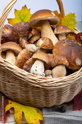 Basket with fresh edible forest mushrooms Boletus Edulis or porcini fungus, tasty vegetarian food