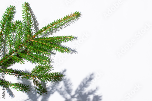 Christmas fir concept frame on the white sunny background. Copy space. Top view