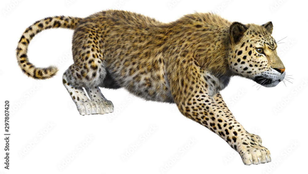 Fototapeta premium 3D Rendering Big Cat Leopard on White