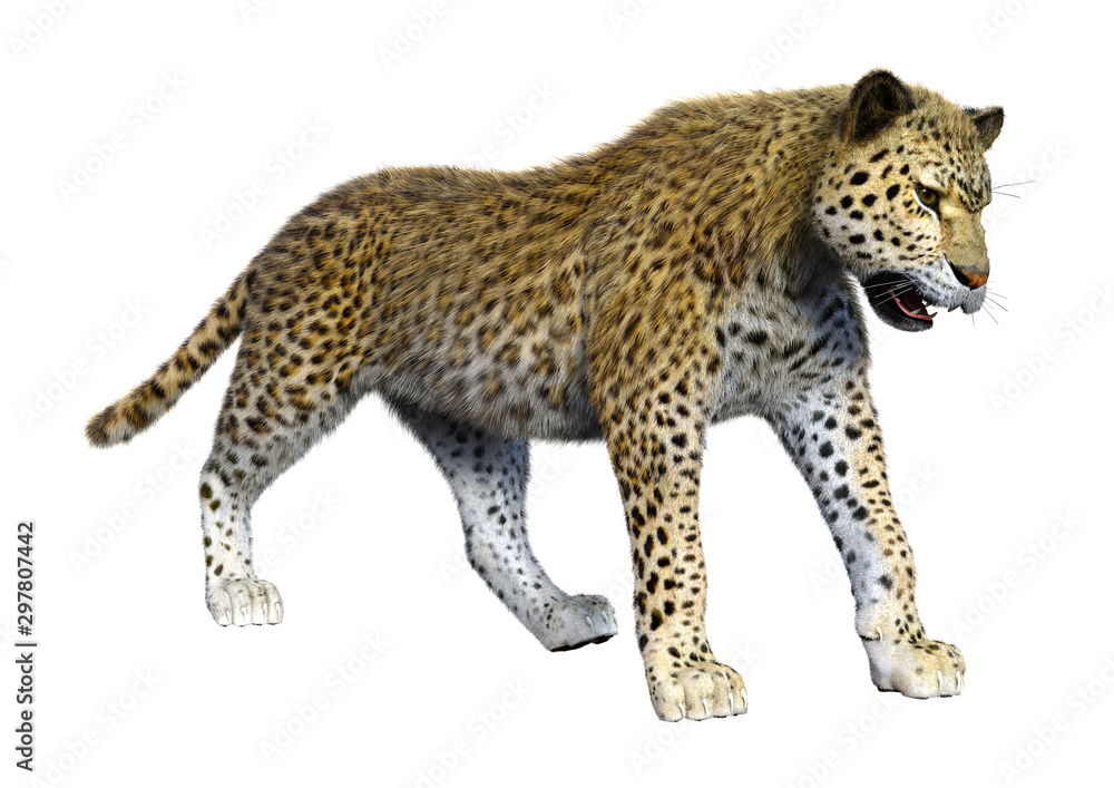 3D Rendering Big Cat Leopard on White 3D Rendering Big Cat Leopard on White