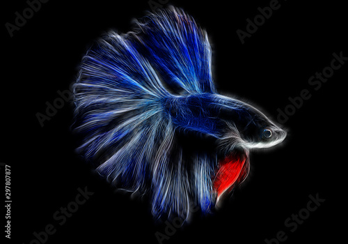 Fractal image of a beautiful blue tropical small fish cockerel on a contrasting black background