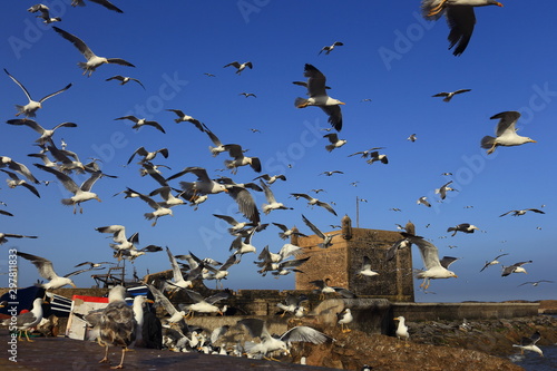 Port in Essaouira, Morocco