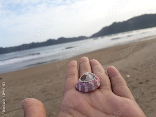 hand holding shell on the beach