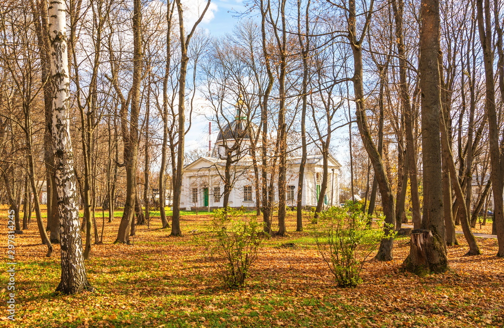 Fototapeta premium Alley in the autumn park with fallen leaves