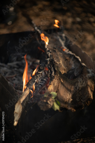 огонь  костер © Anastasiia