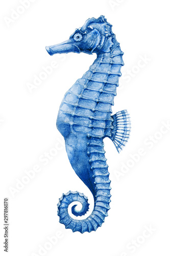 A sea-horse bright watercolor illustration. Hand drawn small tropical seahorse fish - aquarium colorful creature, isolated on white background.