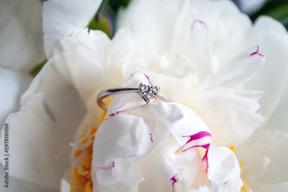 A closeup view of a beautiful white gold engagement ring with three small diamonds in the shape of a heart lying on a white peony flower bud. Selective focus A closeup view of a beautiful white gold engagement ring with three small diamonds in the shape of a heart lying on a white peony flower bud. Selective focus