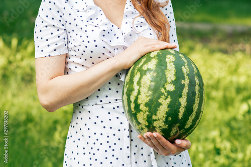 Close up of woman's hands holds a whole watermelon outdoors. Hands of female are holding a whole watermelon on green nature background close up.