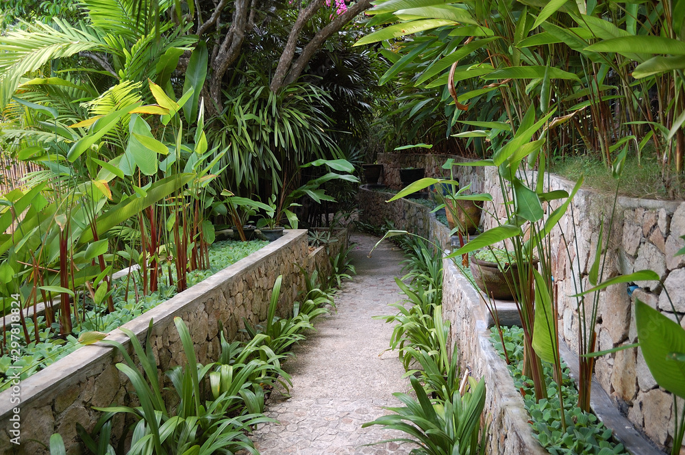 A green path in Chalok Baan Kao, Koh Tao, Thailand A green path in Chalok Baan Kao, Koh Tao, Thailand