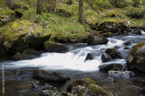 Fototapeta Naklejka Na Ścianę i Meble -  mountain stream in the forest