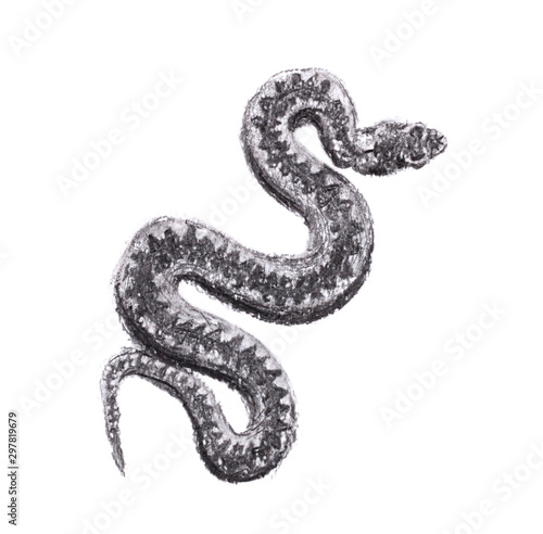 Charcoal monochrome drawing .wriggling snake