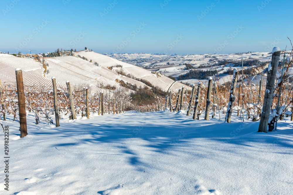 Vineyards on the hill covered in snow in Italy.